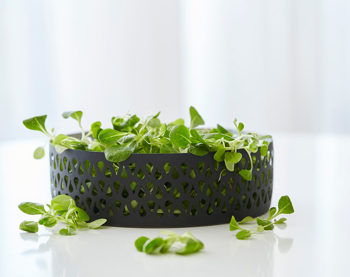 Frugtskål - Mat sort m. seeds - Manostiles Danish Design